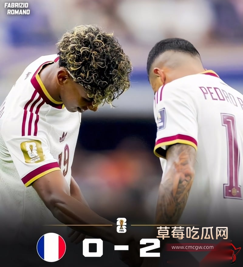 世界杯半决赛3