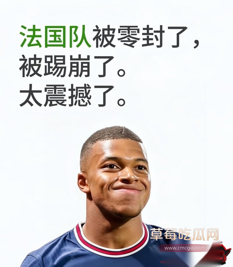 世界杯半决赛5