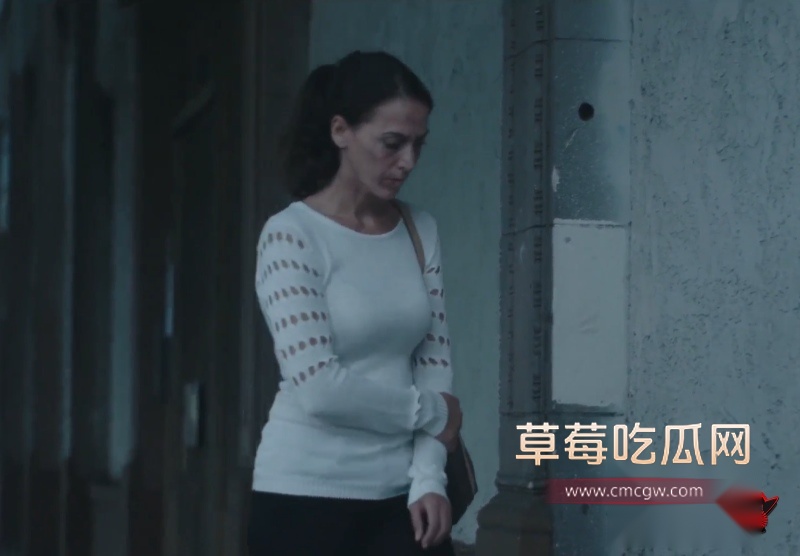 美国伦理片玩物9