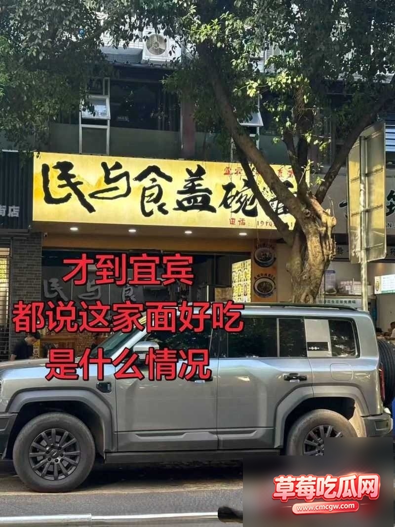 宜宾盖碗面渣男事件9