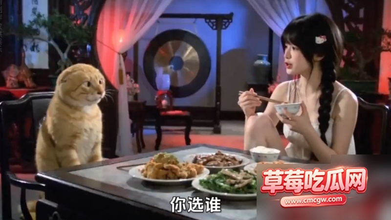 《喵了个咪的》EP 119 2 《喵了个咪的》EP 119 2