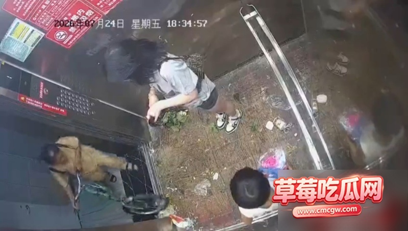 湖北仙桃电梯打架事件 因等 5