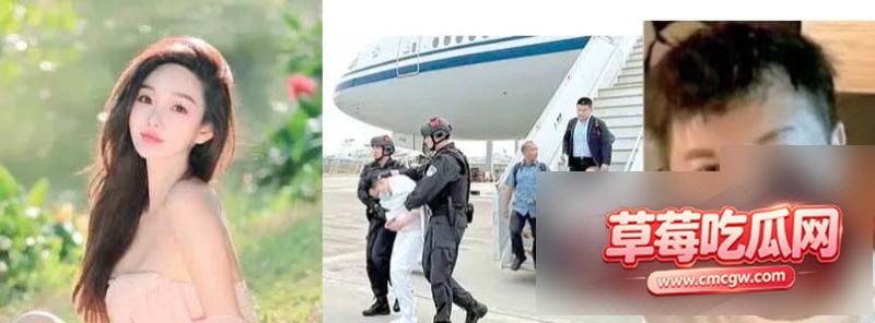 刘瀚文绑架集团覆灭10 刘瀚文绑架集团覆灭10