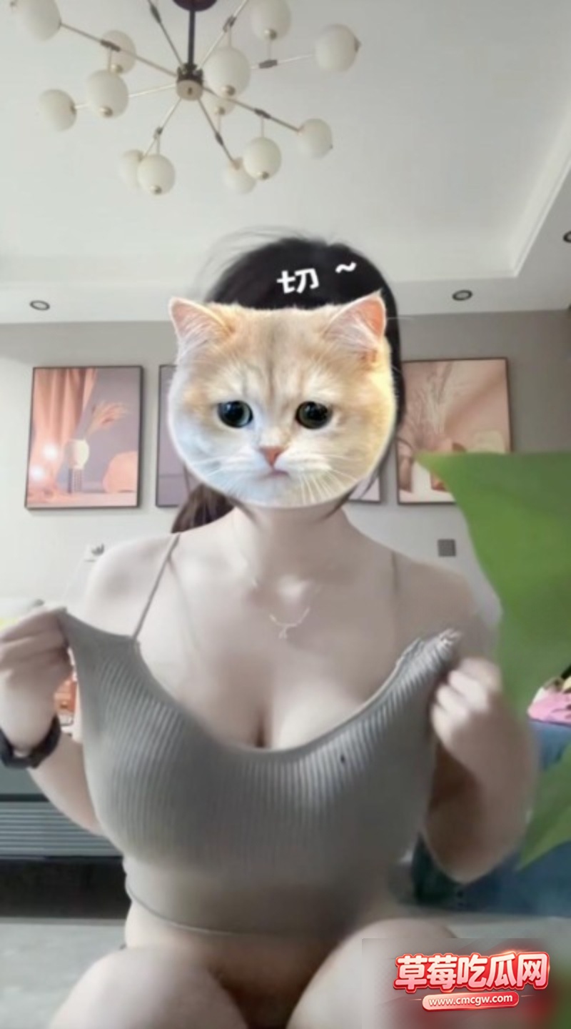 恋雾抖胸舞付费合集1