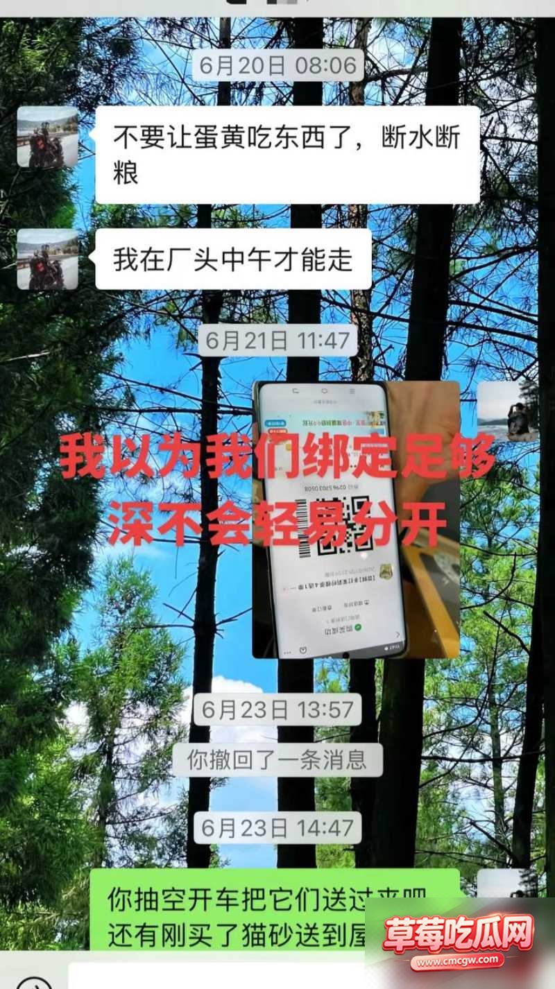 抖音网红丑的精致丑闻24