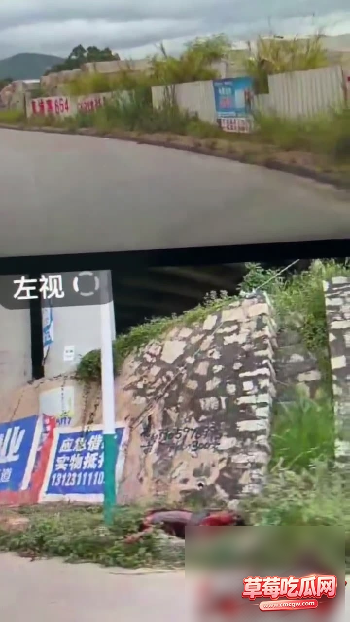 video202607311102500003 2 video202607311102500003 2