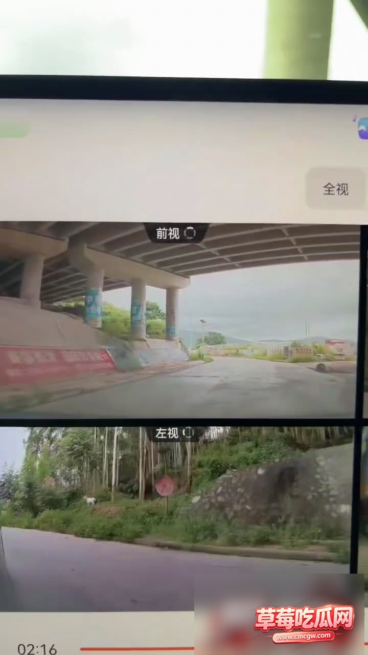video202607311102500002 2 video202607311102500002 2