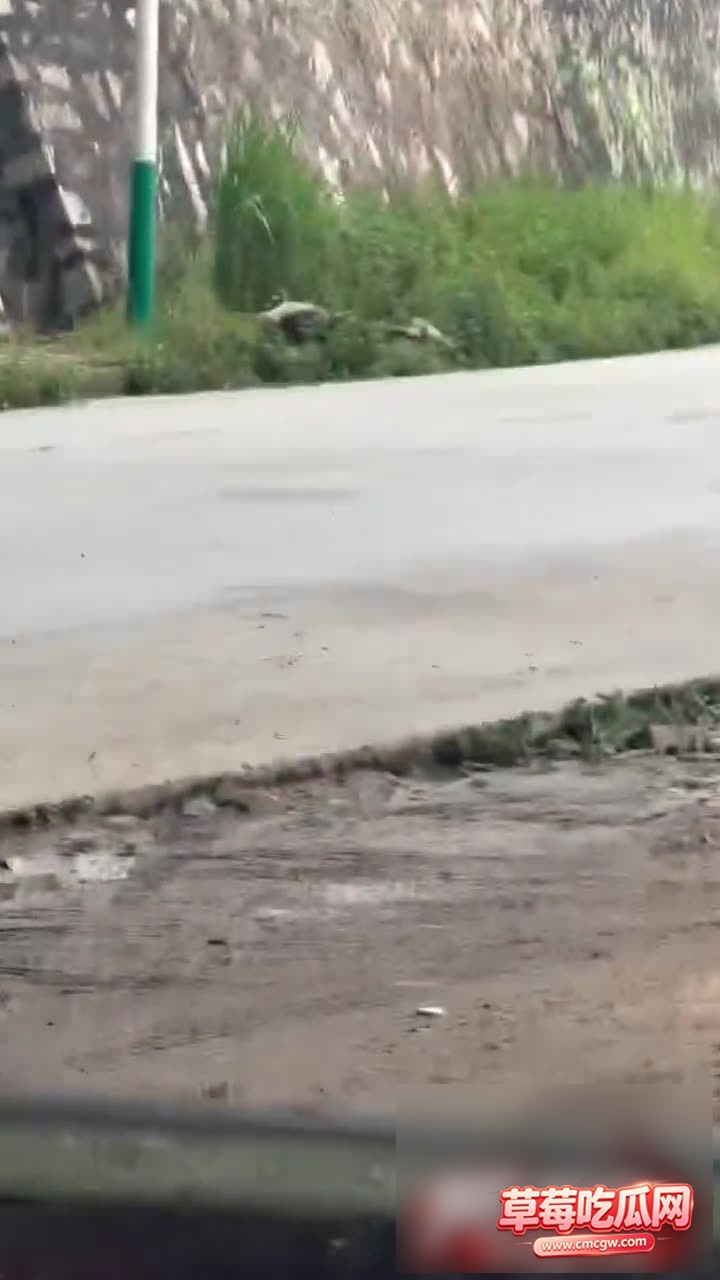 video202607311102510001 2 video202607311102510001 2