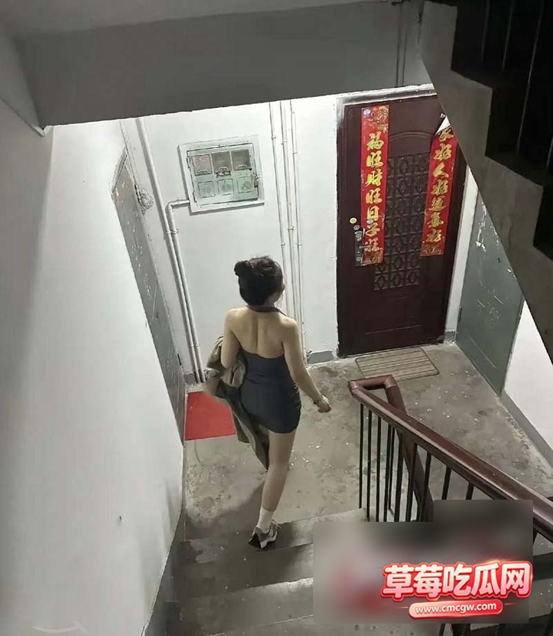 奶子即正义1 奶子即正义1