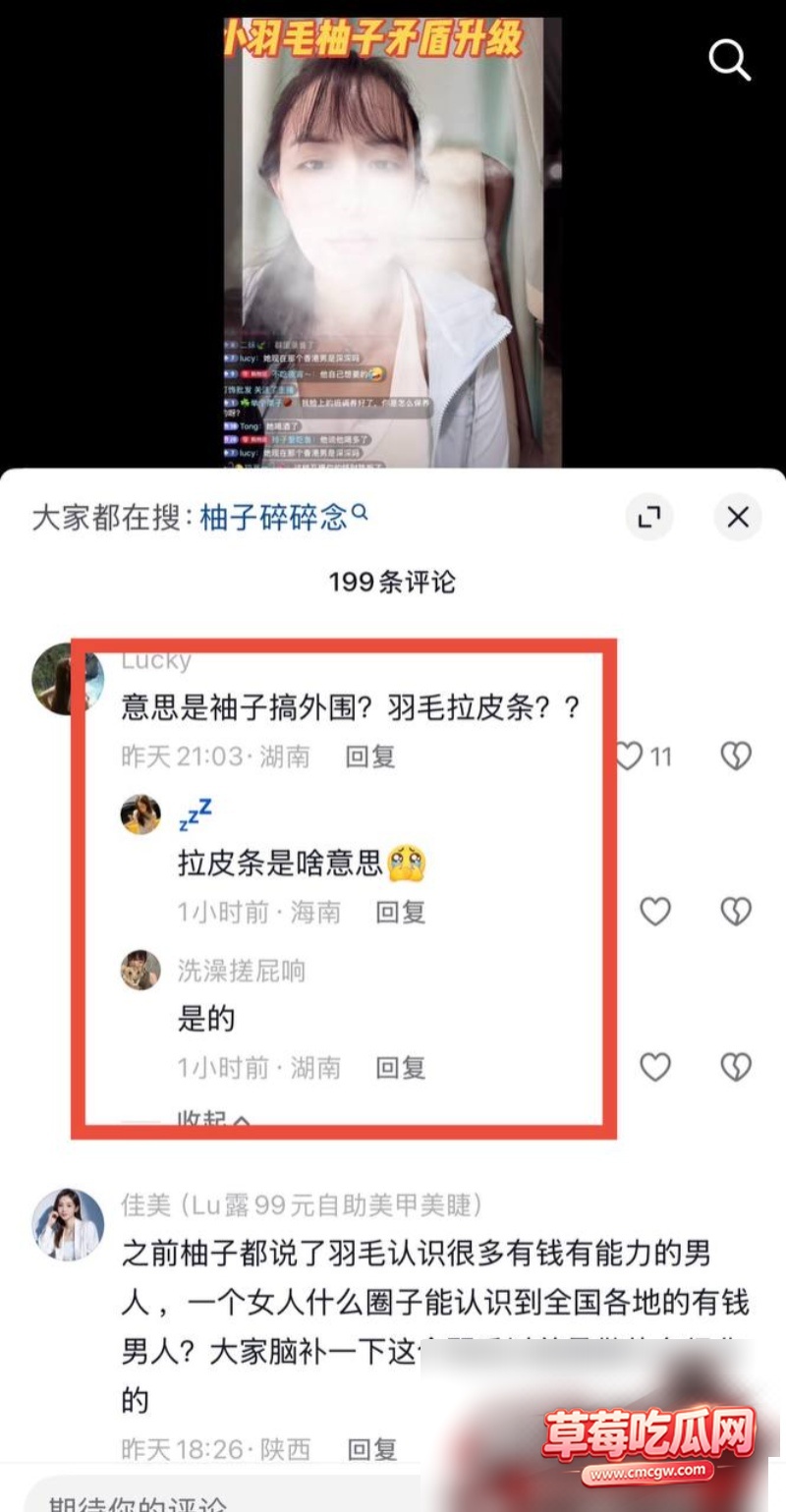 柚子碎碎念丑闻事件29 柚子碎碎念丑闻事件29