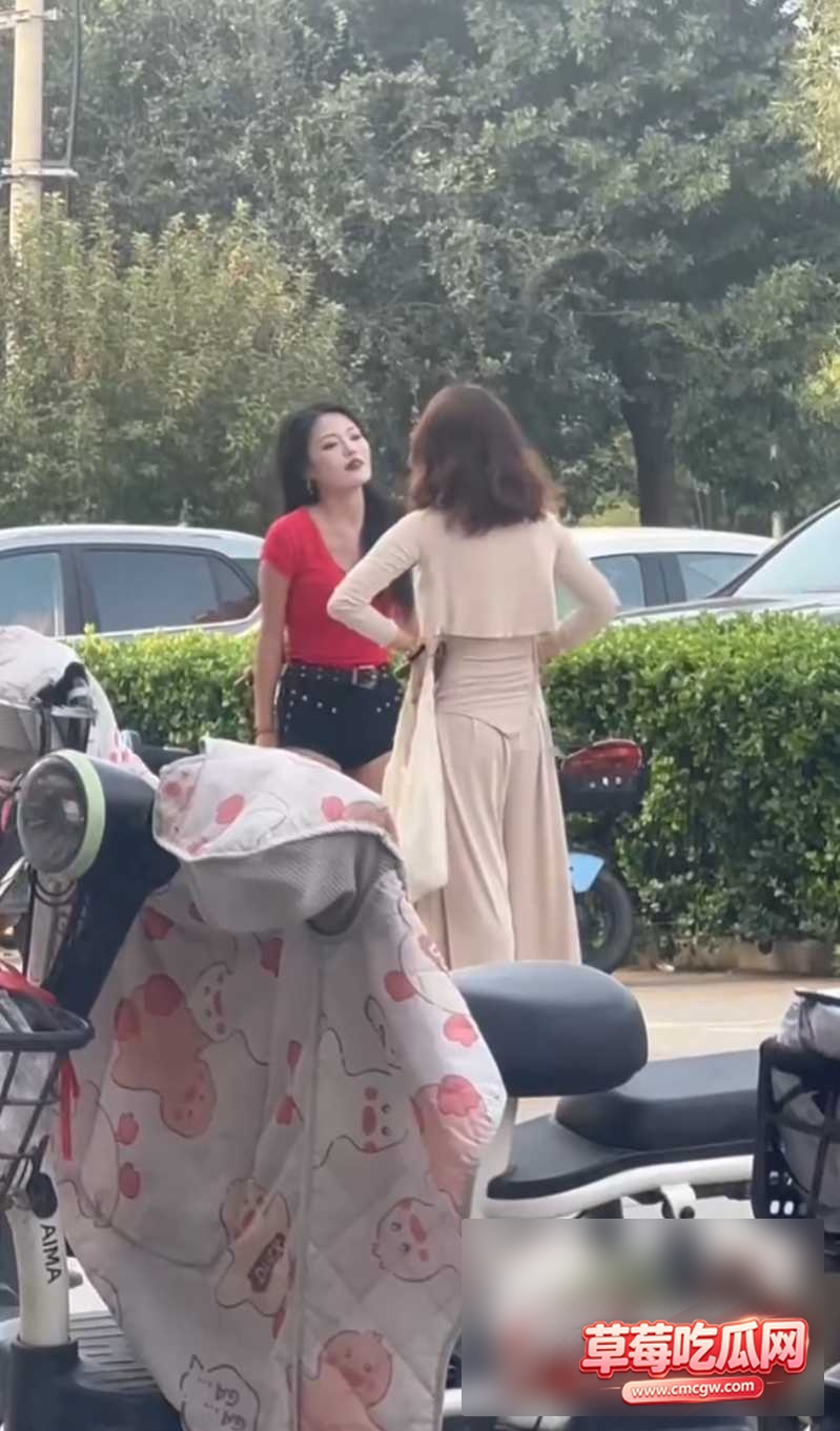 街头抓奸大戏4 街头抓奸大戏4