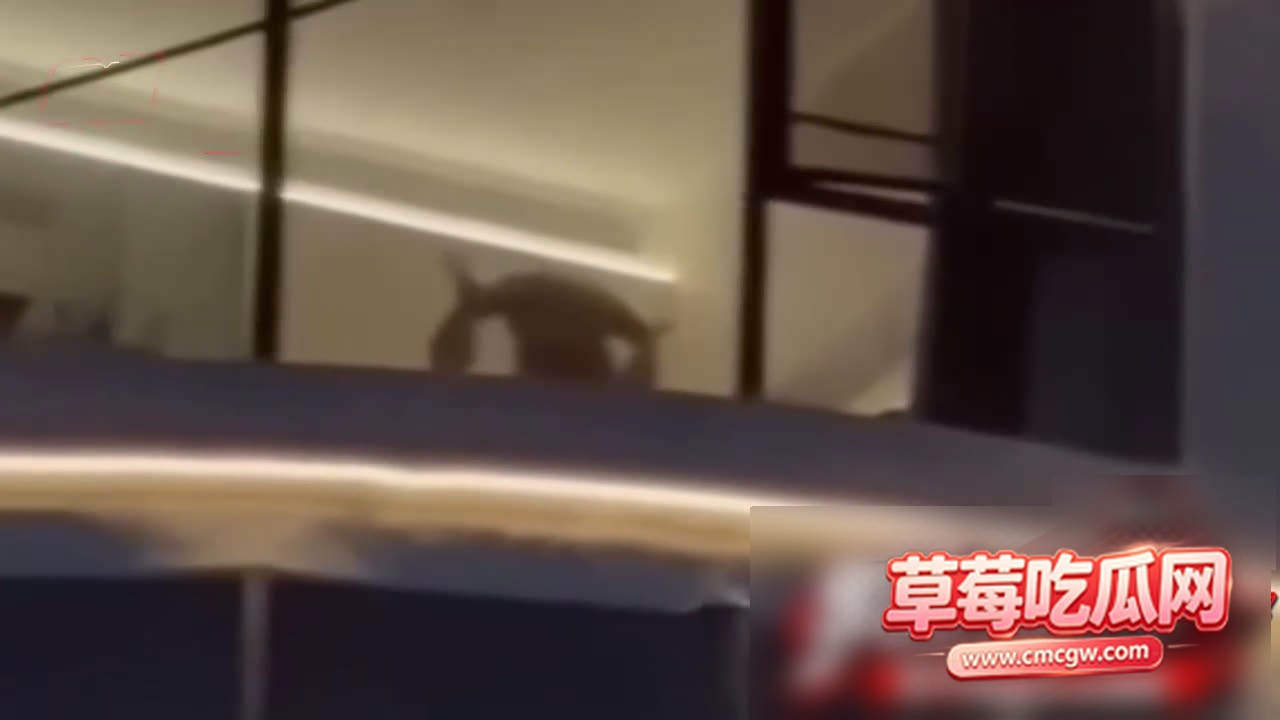新水印0001 新水印0001