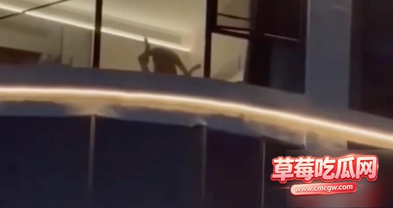 巴马归朴酒店 偷拍6 巴马归朴酒店 偷拍6