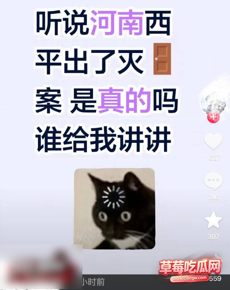 河南西平县发生重大刑事案件15 河南西平县发生重大刑事案件15