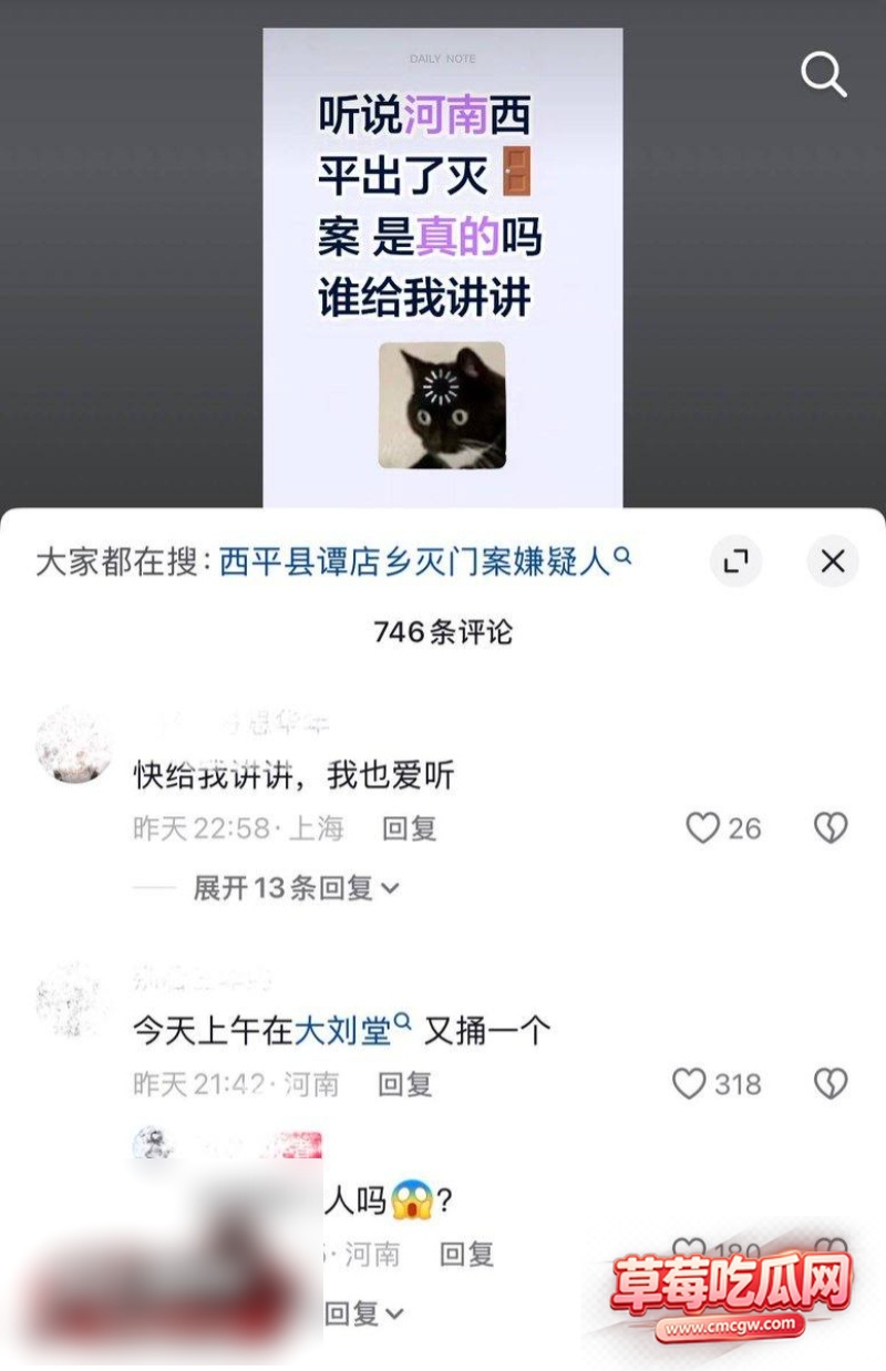 河南西平县发生重大刑事案件16 河南西平县发生重大刑事案件16