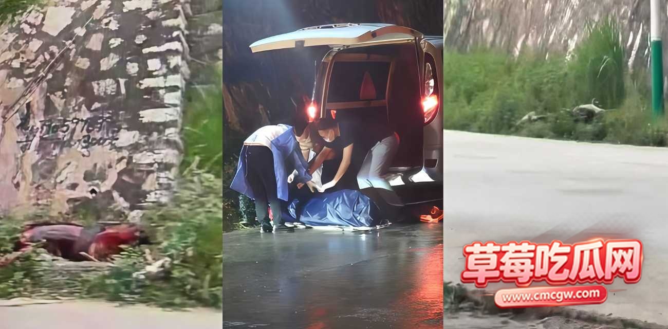 突发新营分尸案 突发新营分尸案
