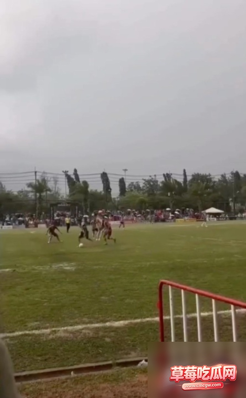 泰马比赛悲剧事故4 泰马比赛悲剧事故4