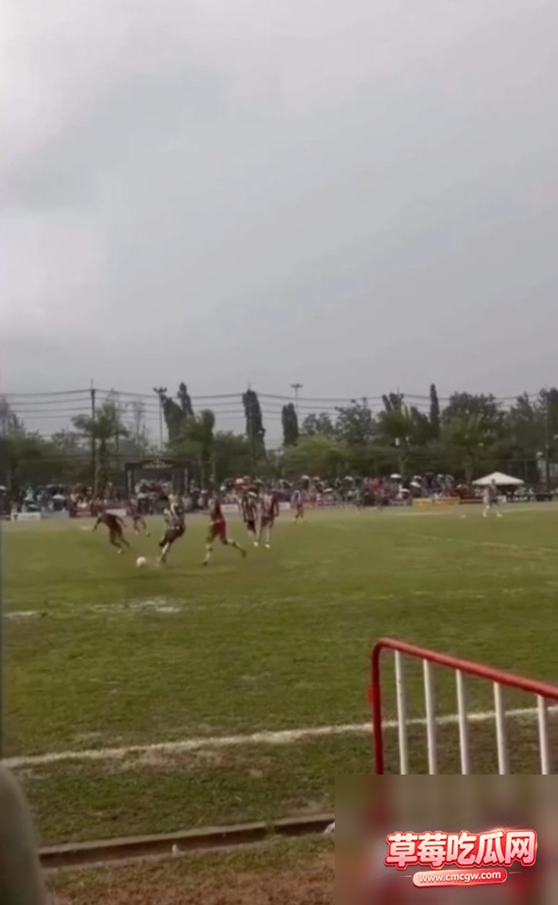 泰马比赛悲剧事故8 泰马比赛悲剧事故8