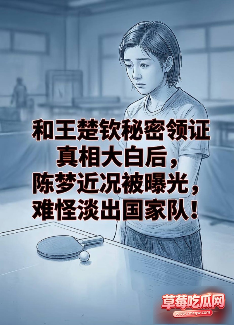世界乒乓球冠军丑闻 13 世界乒乓球冠军丑闻 13