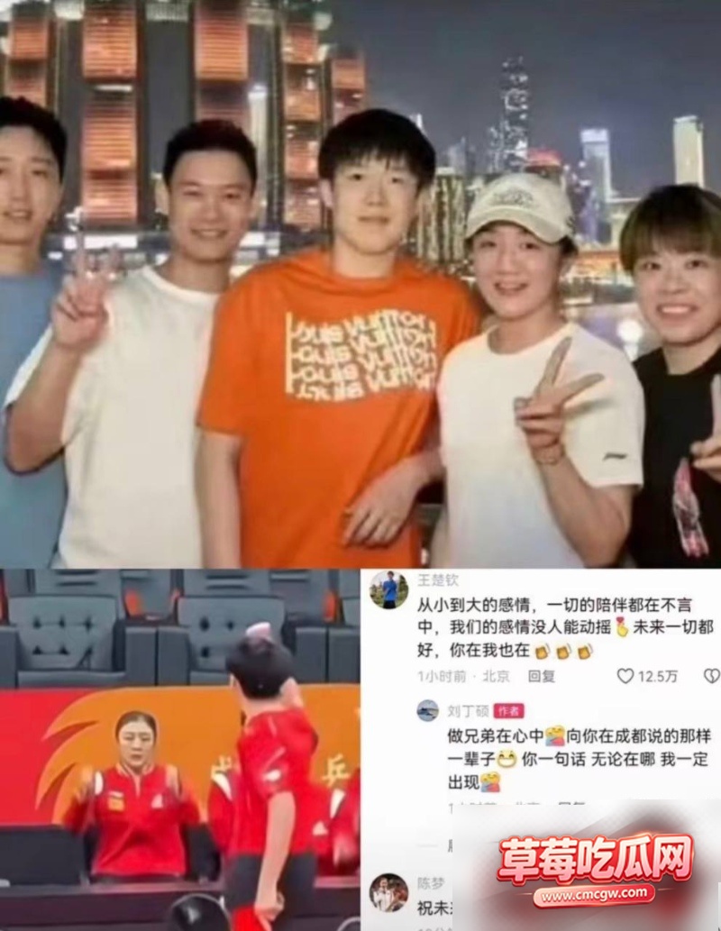 世界乒乓球冠军丑闻 17 世界乒乓球冠军丑闻 17