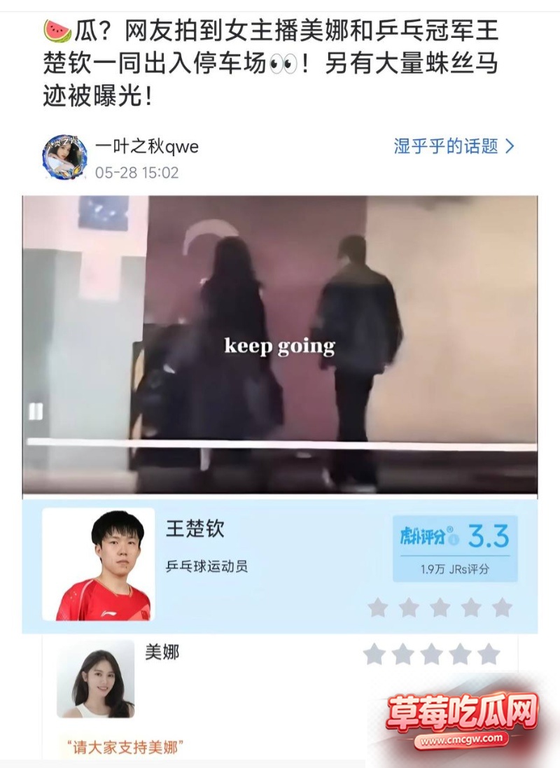 世界乒乓球冠军丑闻 28 世界乒乓球冠军丑闻 28