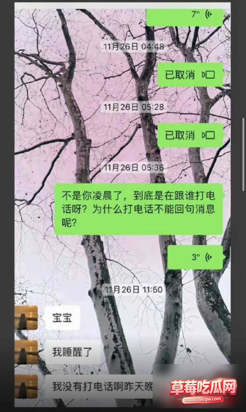 乒乓球运动员王晨策出轨嫖娼29 乒乓球运动员王晨策出轨嫖娼29