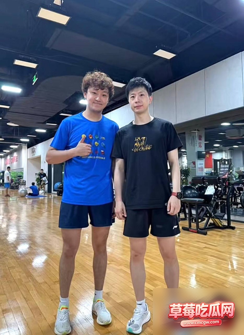 乒乓球运动员王晨策出轨嫖娼40 乒乓球运动员王晨策出轨嫖娼40