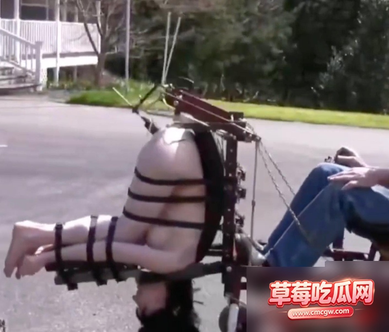 SM调教系列2 SM调教系列2