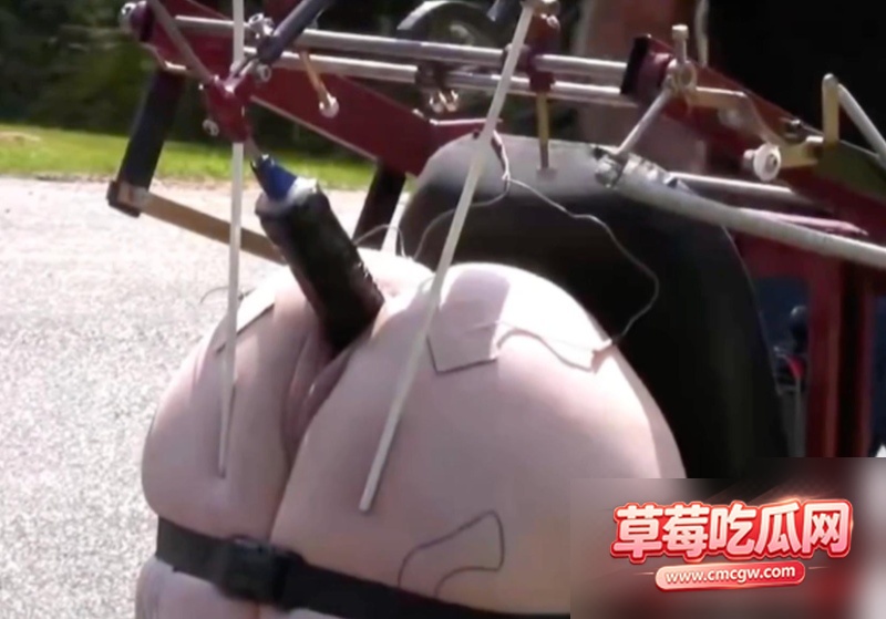 SM调教系列7 SM调教系列7