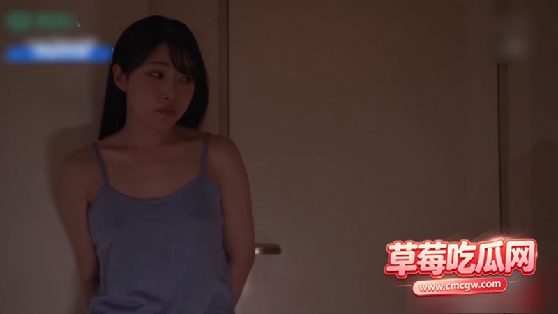 水果派解说系列 10 水果派解说系列 10