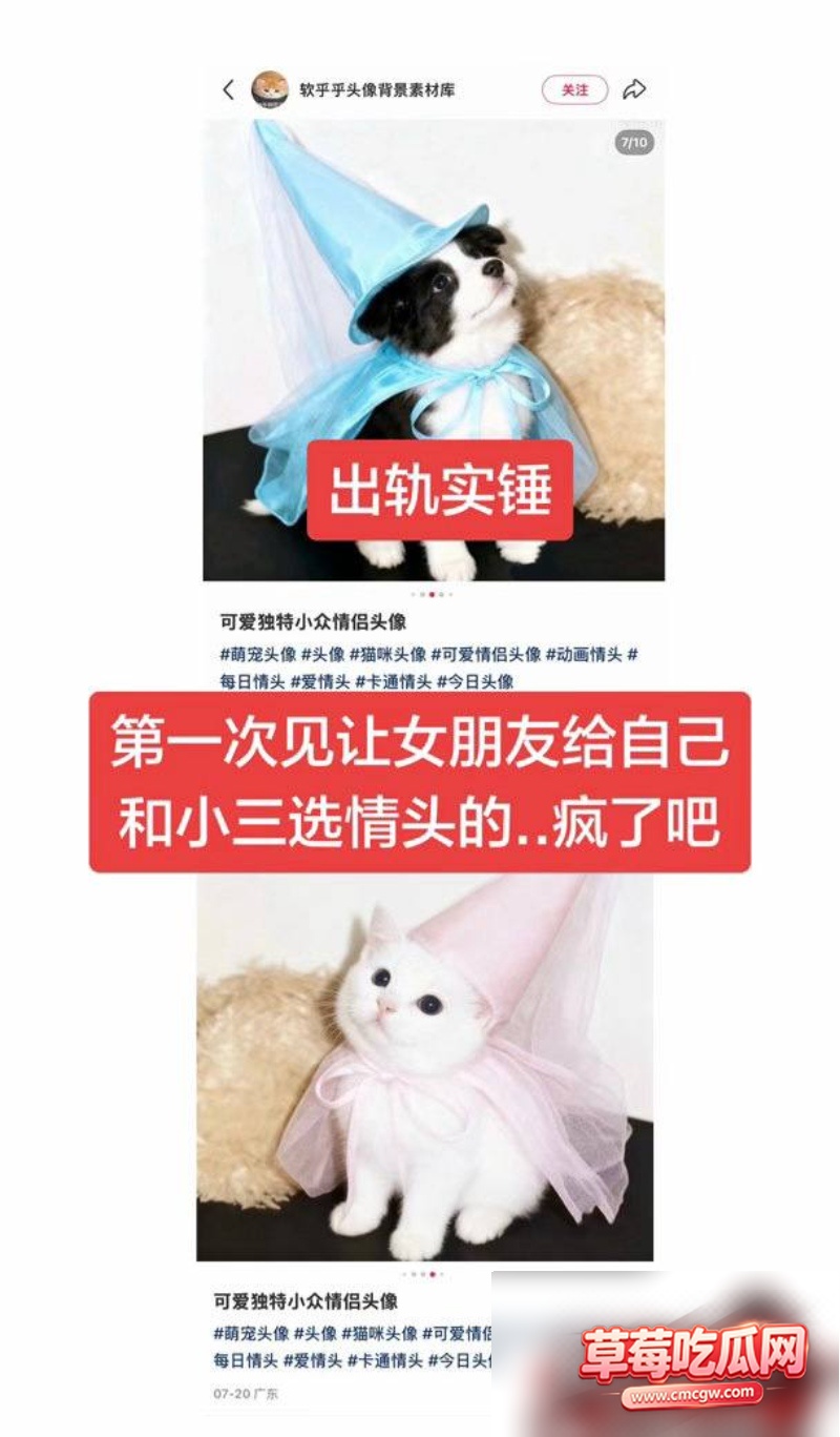 中国游泳运动员 林繁绿 5