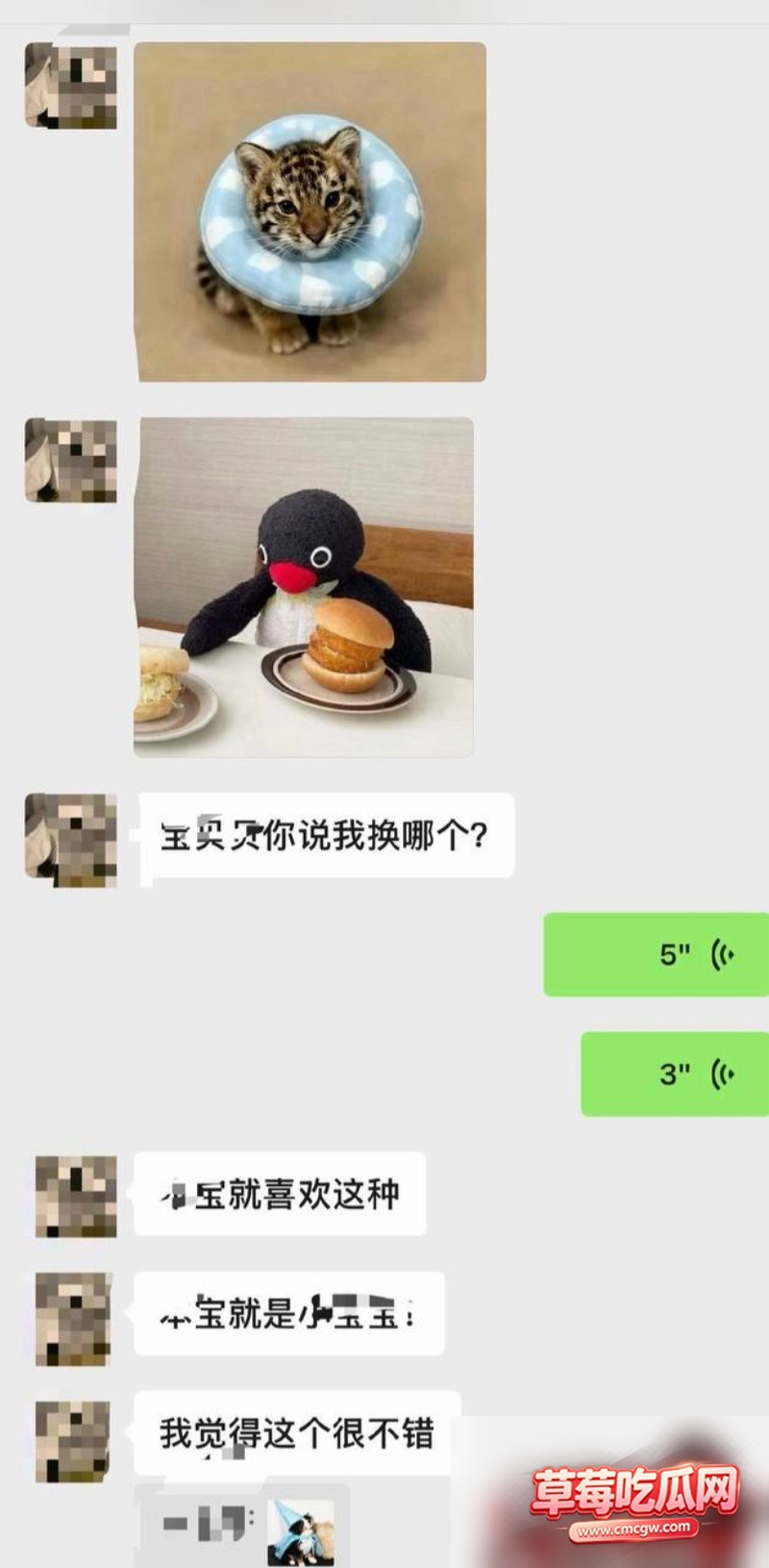 中国游泳运动员 林繁绿 6