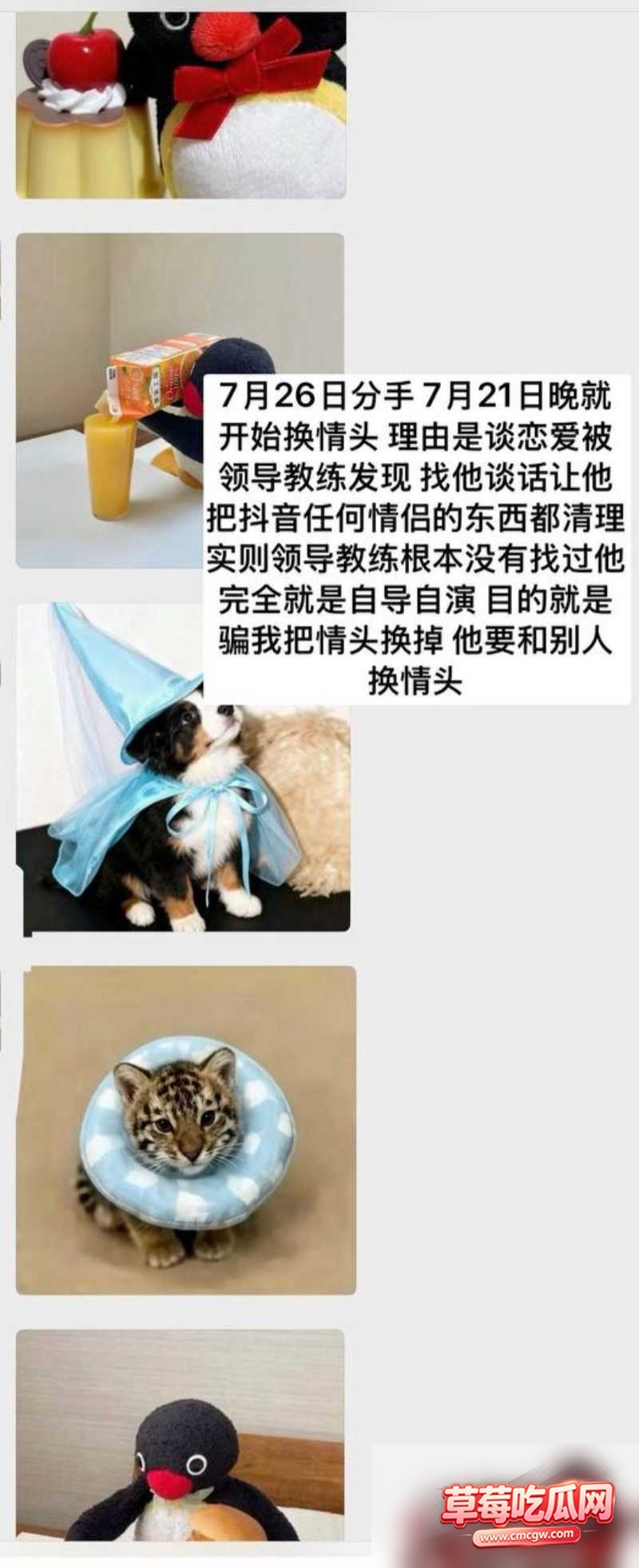 中国游泳运动员 林繁绿 7