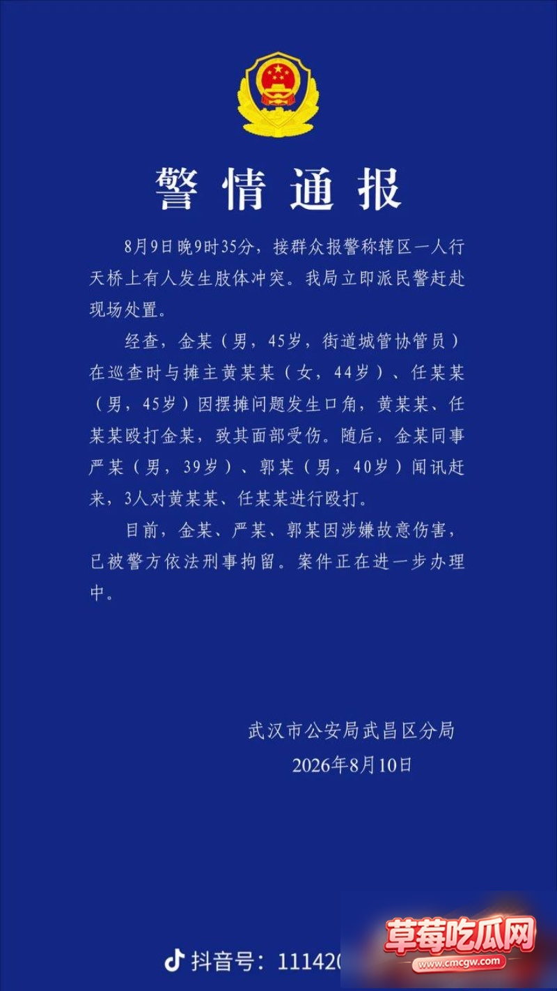 武汉天桥打人事件 9 武汉天桥打人事件 9