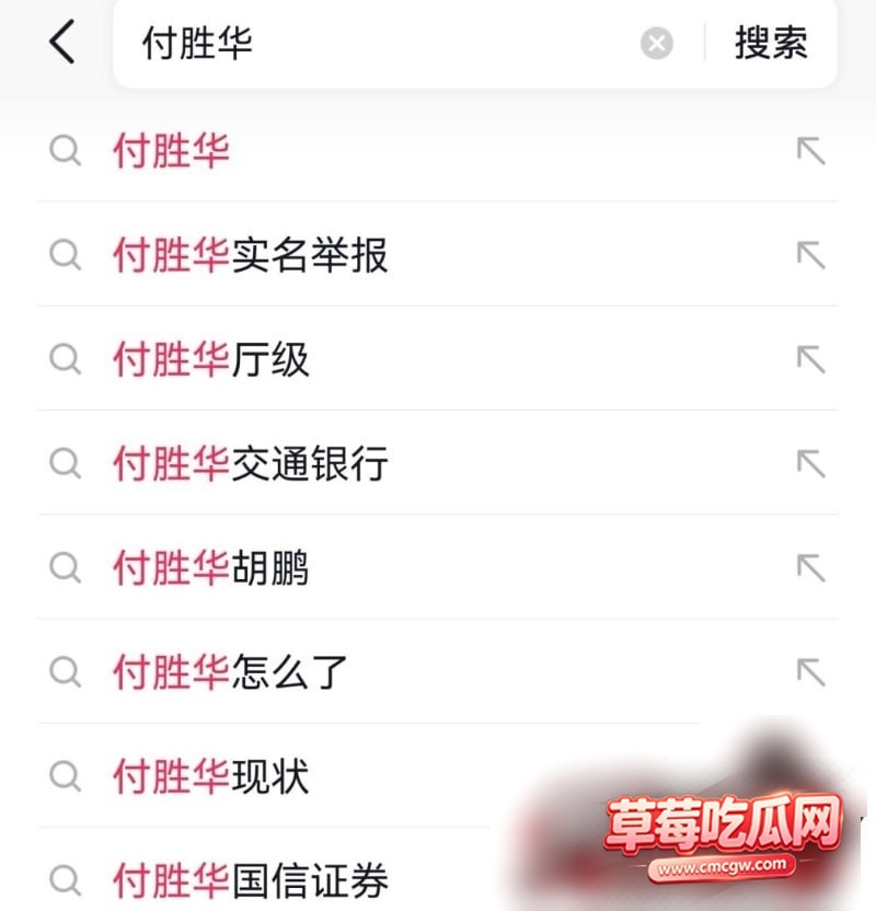 湖南长沙副市长 付胜华 16 湖南长沙副市长 付胜华 16