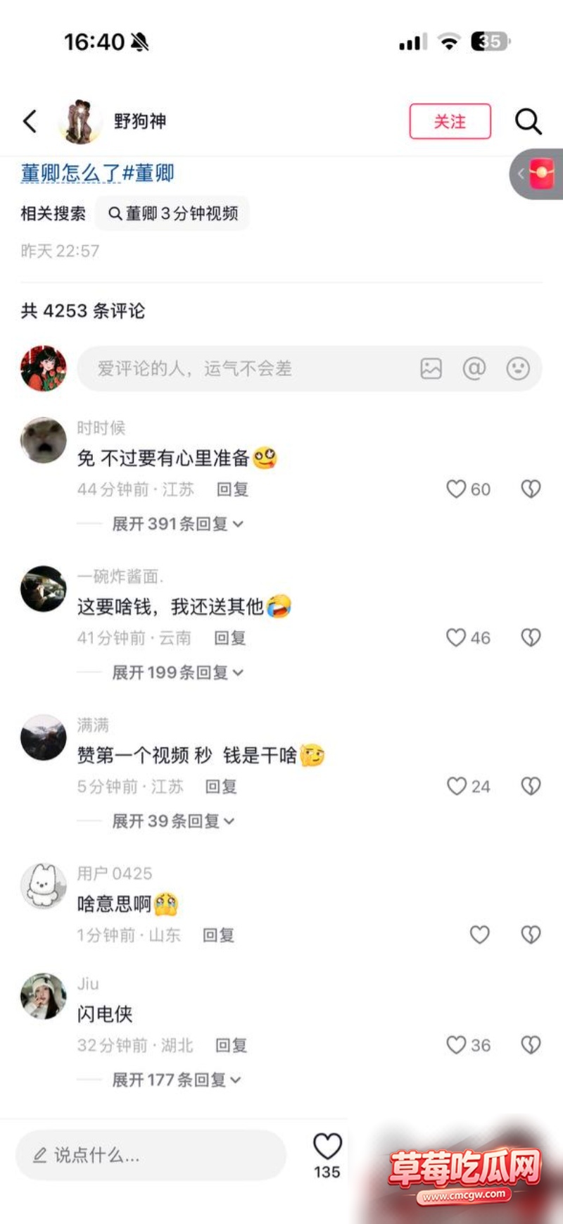 知名央视主持人 董卿 6 知名央视主持人 董卿 6