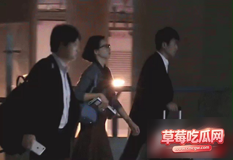知名央视主持人 董卿 1 知名央视主持人 董卿 1