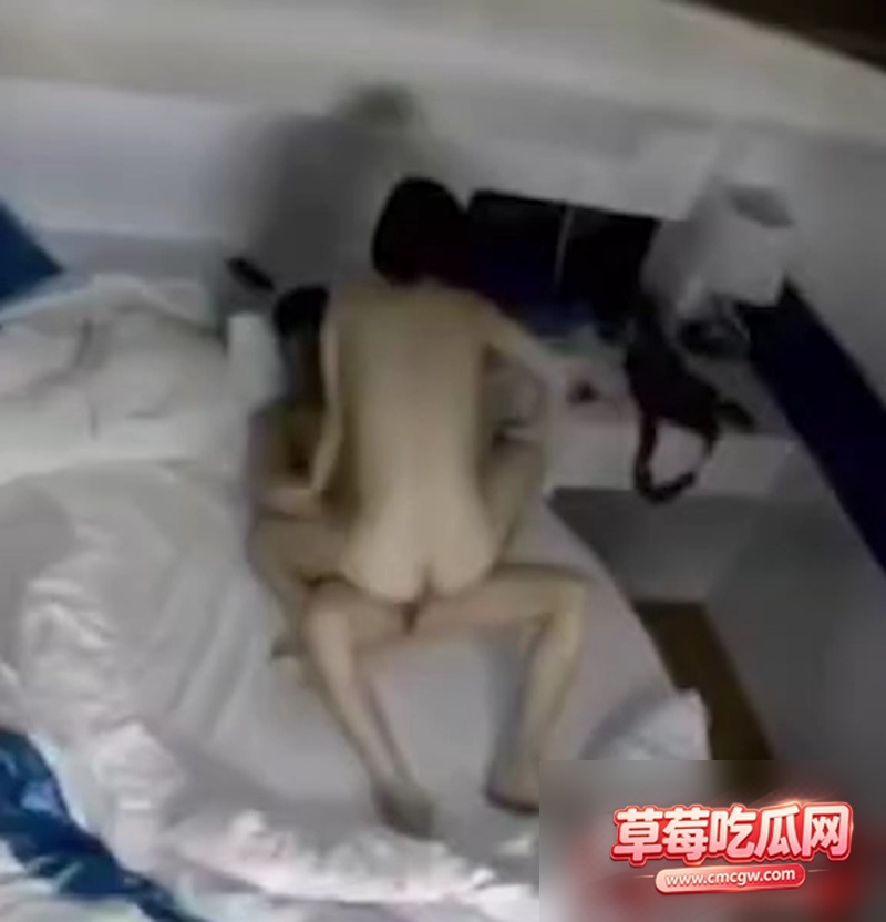 知名央视主持人 董卿 2 知名央视主持人 董卿 2