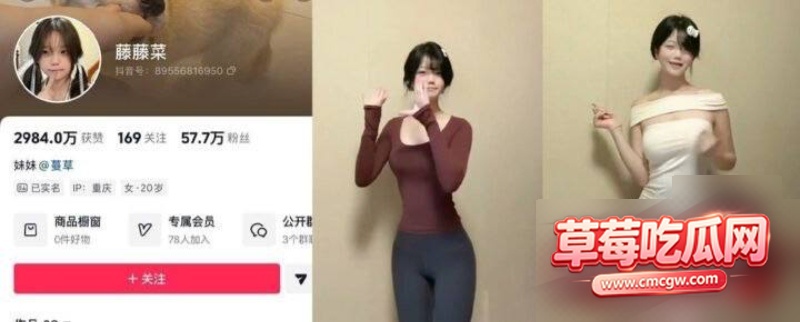 抖音58万粉网红藤藤菜10