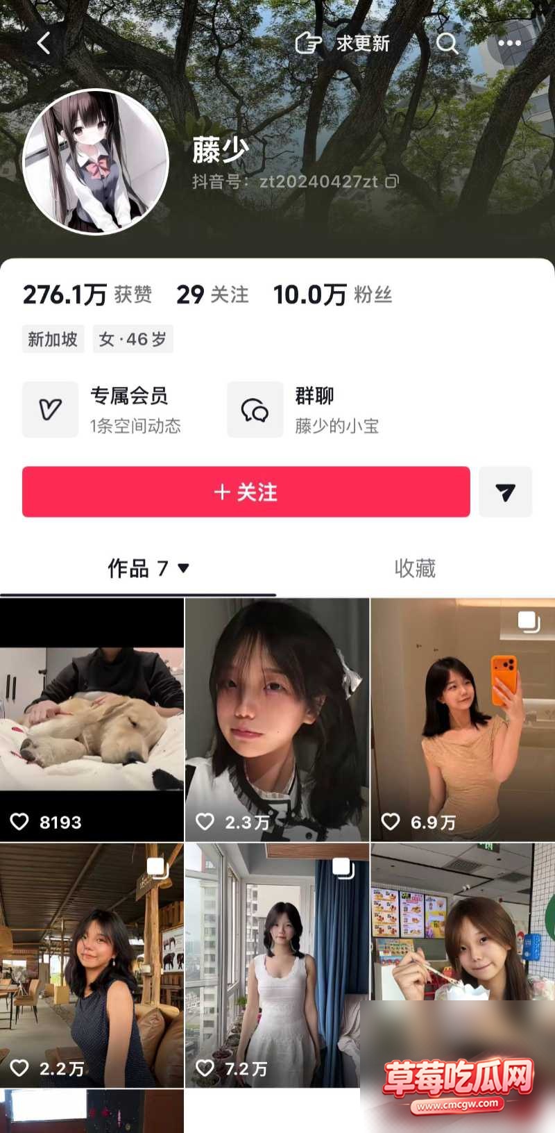 抖音58万粉网红藤藤菜9