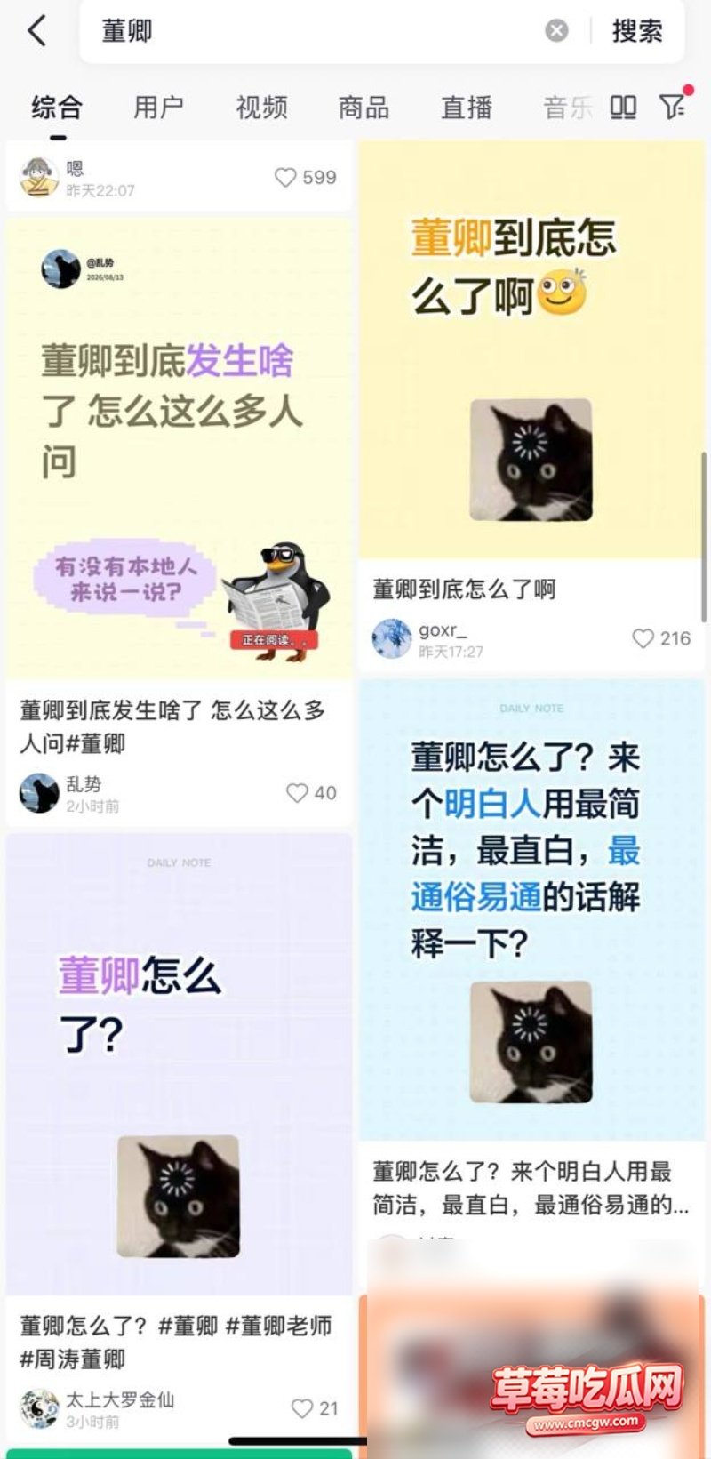 央视主持人一姐 董卿11 央视主持人一姐 董卿11