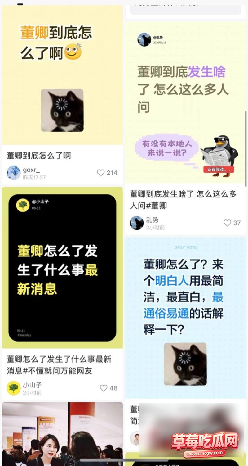 央视主持人一姐 董卿12 央视主持人一姐 董卿12