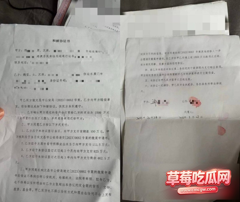 抖音百万粉网红魏莹0 14 抖音百万粉网红魏莹0 14
