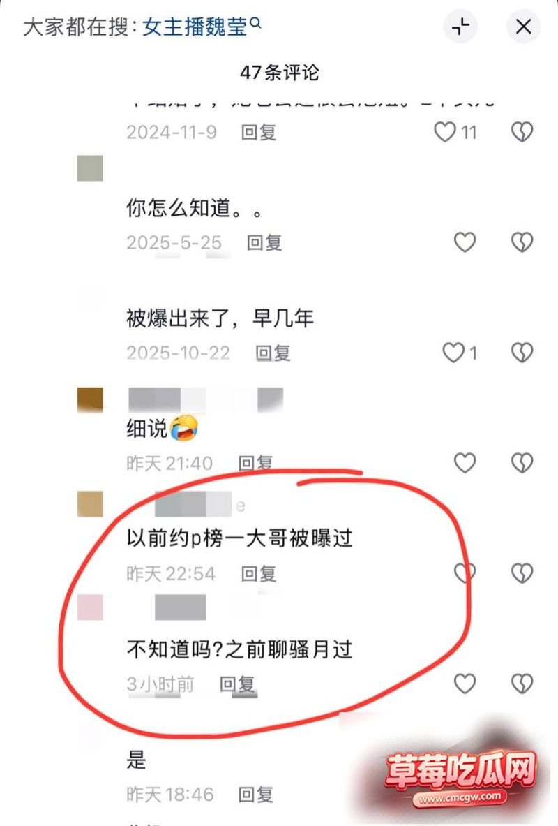 抖音百万粉网红魏莹2 抖音百万粉网红魏莹2