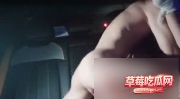 内容12 内容12