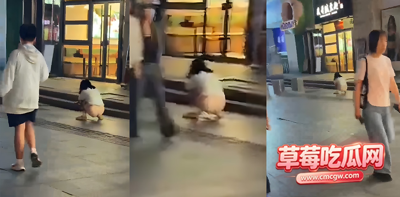 集美发癫 路边尿尿封面 集美发癫 路边尿尿封面