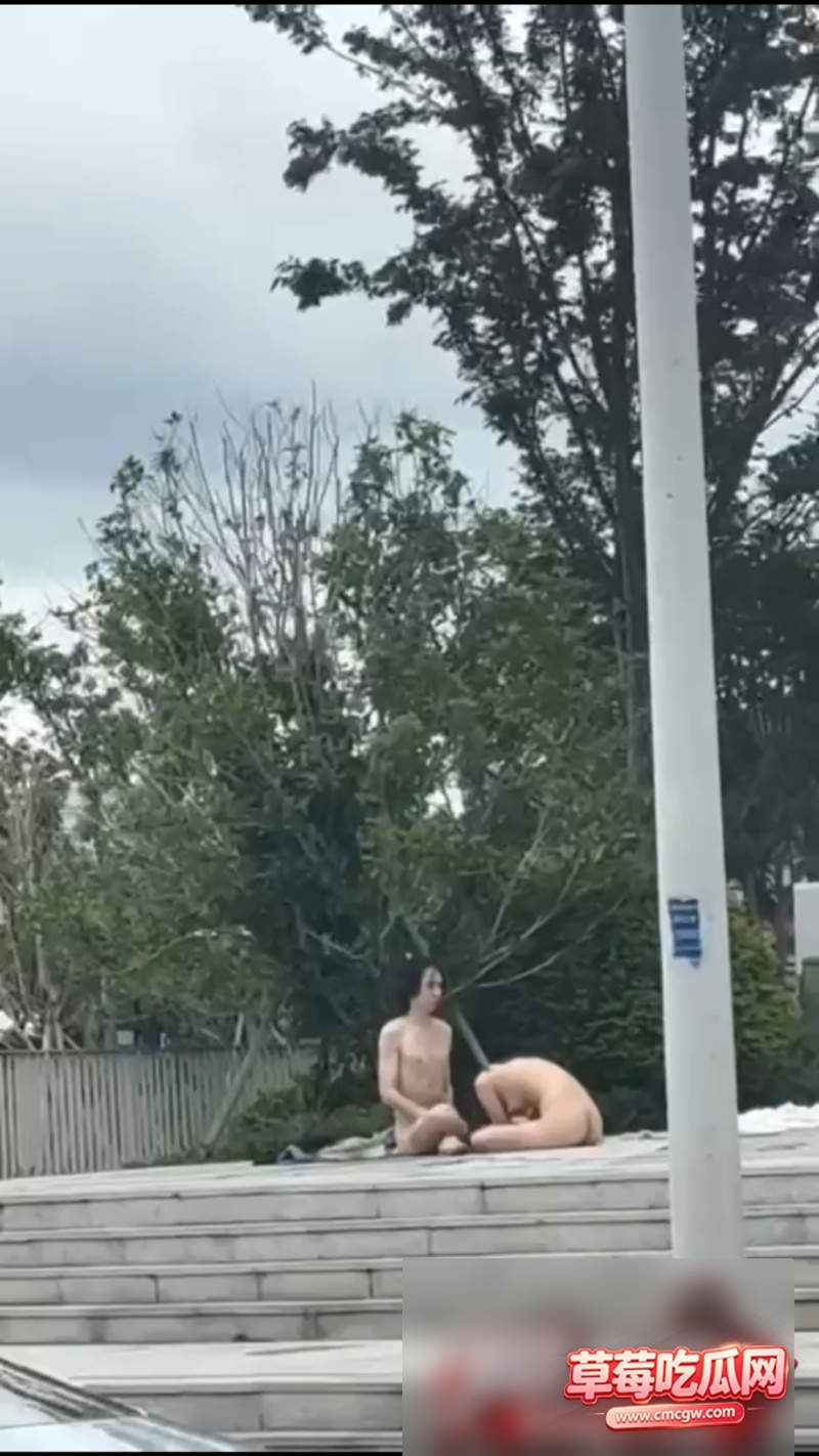 杨过6 杨过6