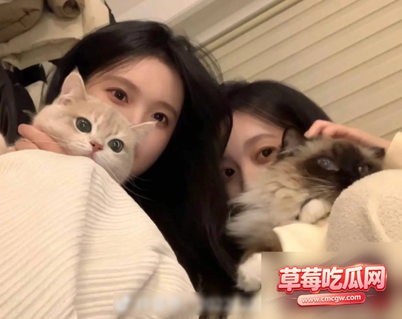 小汪款款账号被封禁8 小汪款款账号被封禁8