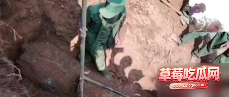 缅甸僵尸视频0 缅甸僵尸视频0