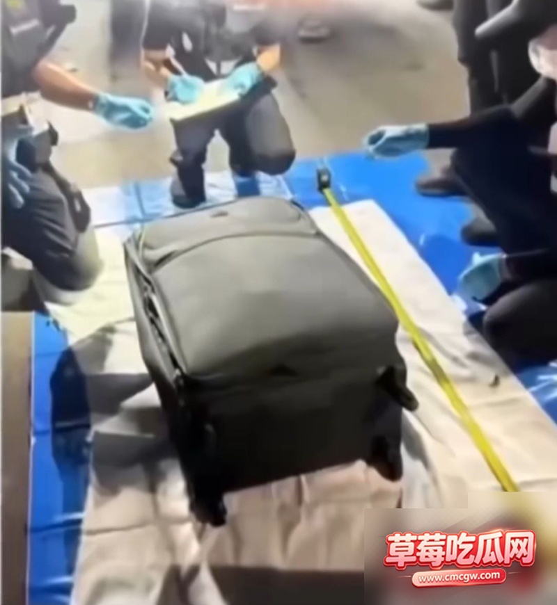 泰国行李箱女尸案件0 泰国行李箱女尸案件0